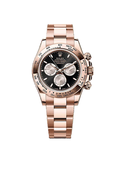 Rolex Cosmograph Daytona Black Velvet Rose or rose cadran — SALCIR Sénégal